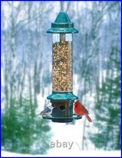 4 Pack Brome Squirrel Buster Plus Bird Feeder with Cardinal Perch Ring 1024