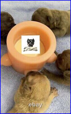 5 Station Infant Puppy Milk Feeder Nursing Nurser Station