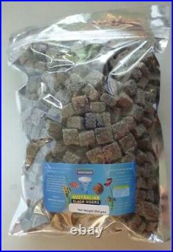 Australian Freeze Dried Blackworm 25 Grams. Best Price In The Uk. FREE SHIPPING