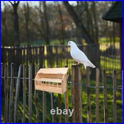 Automatic Bird Feeder for Outdoor & Poultry
