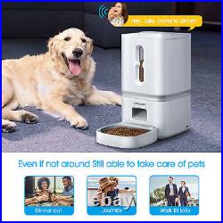 Automatic Pet Food Dispenser Feeder Cats & Dogs Programmable Timer, LCD, Audio