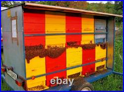 Beekeeping Equipment National Slovenian AZ beehive 20-frames with feeder