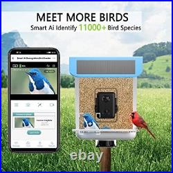 Bird Feeder With Camera Bird Buddy Smart Bird Feeder With Camera Smart Bird