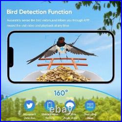 Bird Feeder with Auto AI bird recognition Camera Clear Window Outside Birdhouse