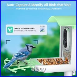 Bird Feeder with Camera, AI Identify Bird Species, Smart Bird Semi-Transparent