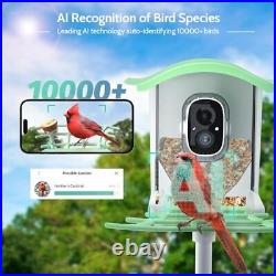 Bird Feeder with Camera, AI Identify Bird Species, Smart Bird Semi-Transparent