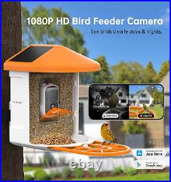 Bird Feeder with Camera Solar Powered, AI Identify Bird Species, Bird Feeder Cam