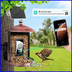 Bird Feeder with Camera Wireless Outdoor Smart Bird Feeder Solar Powered AI I