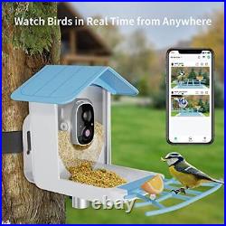 Bird Feeder with Camera, Wireless Outdoor Solar Bird Feeder, AI Identify