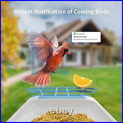 Bird Feeder with Camera, Wireless Outdoor Solar Bird Feeder, AI Identify