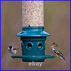 Bird Seed Feeder- Squirrel Buster Plus 6 Port With Cardinal Feeding Ring