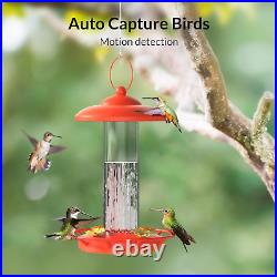 Birdfy Lite Smart Bird Feeder Camera, Bird Feeder with App for Outside, Wirele