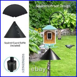Birdfy Lite- Smart Bird Feeder Camera, Bird Watching Camera Auto Capture Bird