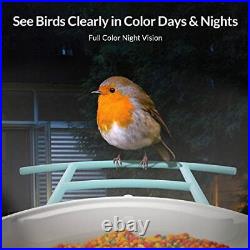 Birdfy Lite Smart Bird Feeder Camera Bird Watching Camera Auto Capture Video