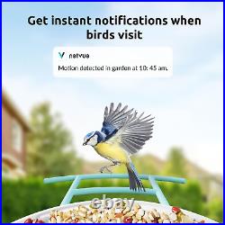 Birdfy- Smart Bird Feeder Camera, Auto Record Bird Videos & Send Instant APP Not