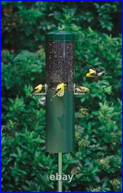 Birds Choice Classic Bird Feeder with Built-In Squirrel Baffle and Pole NP431