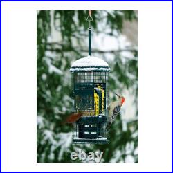 Brome Bird Care Squirrel Buster Suet Feeder Green with Trail Camera