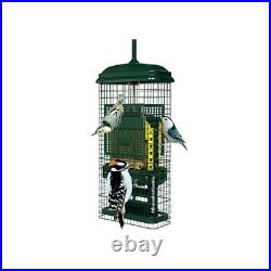 Brome Bird Care Squirrel Buster Truly Squirrel Proof Suet Feeder Green