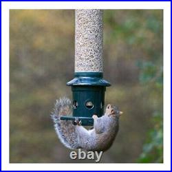 Brome Squirrel Buster Plus Squirrel Proof Bird Feeder with Cardinal Ring Bundle