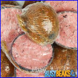 BusyBeaks Berry Suet Filled Coconut Halves Protein Rich Garden Wild Bird Food