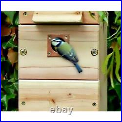 Cedar Bird Nest Box And Feeder With Colour Night Vision Camera with Audio