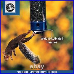 Droll Yankees Yankee Whipper Squirrel-Proof Bird Feeder, Curved Collapsing Perch