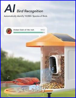 GNCC SMART Bird Feeder Camera Wireless AI Identify Bird Dual Solar CAM CCTV HSE
