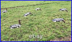 Goose Decoys, Pink Footed, Greylag, Windsock Style Various Options Of Feeding An