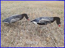 Goose Decoys Sillosocks Pinkfoot Greylag 12 Pack FEEDERS ONLY