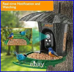 Lollyes RS1 Smart AI Recognition Bird Feeder Solar Powered Wi-Fi