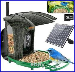 Lollyes Smart Bird Feeder Camera, Bird Watching Camera 1080P 64G Auto Capture/Re