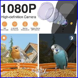 MSRP $149 SMART FHD 1080P SOLAR Bird Feeder! AI, WiFi, App Control, FREE STORAGE
