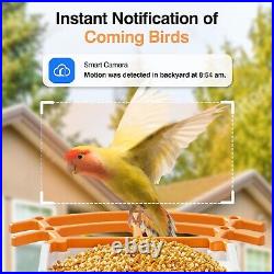 MSRP $149 SMART FHD 1080P SOLAR Bird Feeder! AI, WiFi, App Control, FREE STORAGE