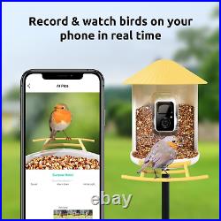 NETVUE Birdfy- Bird Feeder Camera, Bird Feeders, Auto Notify & Record Videos Box