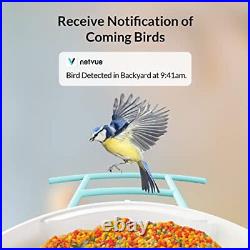 NETVUE Birdfy Lite Smart Bird Feeder with Camera Bird Watching Camera Auto