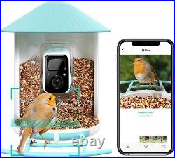 NETVUE Birdfy- Smart Bird Feeder Camera