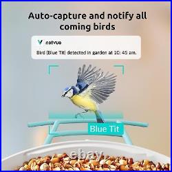 NETVUE Birdfy- Smart Bird Feeder Camera