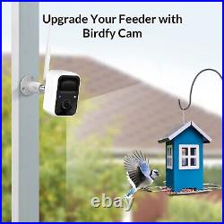 NETVUE Birdfy- Smart Bird Feeder Camera, Bird Watching Camera only