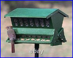 NEW Double Sided Absolute II Bird Feeder with Pole and Hanger Squirrel Proof