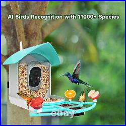 New Smart Bird Feeder with Camera 1080P HD Camera Bird Box PIR Motion Sense P4N8
