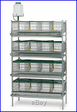 Quail Breeding Cage, 2 4 Tier with trough feeders and automatic drinkers