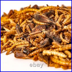 SQUAWK Bugs, Grubs & Worms Wild Bird Food High Protein Dried Mealworm Feed Bag