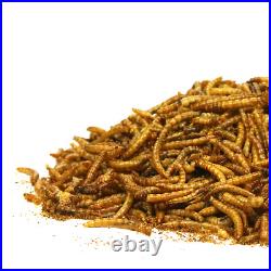 SQUAWK Dried Mealworms Premium Quality Wild Bird Food Garden Snacks For Birds
