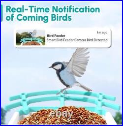 Smart AI Recognition Bird Feeder HD Streaming Video Brand New in Original Box