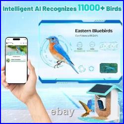 Smart AI Recognition Bird Feeder HD Streaming Video Brand New in Original Box
