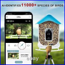Smart Bird Feeder Camera, 1080P HD Auto Capture Bird Videos, Solar, with 32GB card