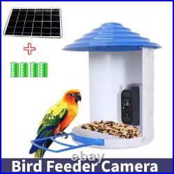 Smart Bird Feeder Camera AI Identify Auto Capture Wifi In Battery+Solar Panel