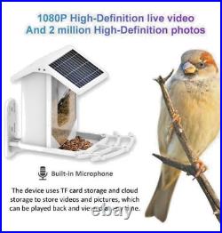 Smart Bird Feeder Camera solar Charging record video