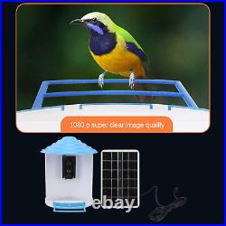 Smart Bird Feeder With Camera Solar Panel Intelligent Recognition Birds AC