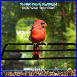 Smart Bird Feeder with Camera. Auto Capture Bird Videos & Bird Motion Detection, W
